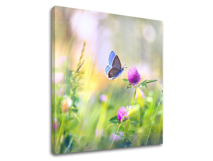 Nástěnná malba BAREVNÉ KVĚTINY_161-12