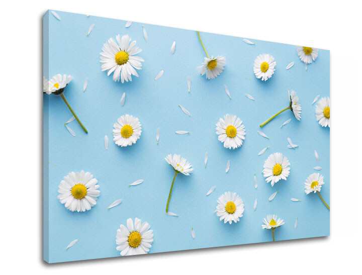 Nástěnná malba BÍLÉ KVĚTY_163-11