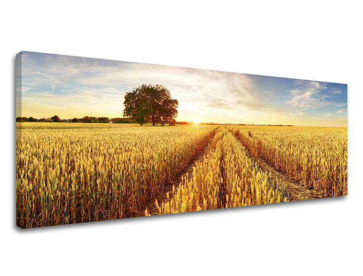 Nástěnná malba LÚKA_053-13