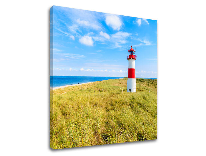 Nástěnná malba LÚKA_052-12