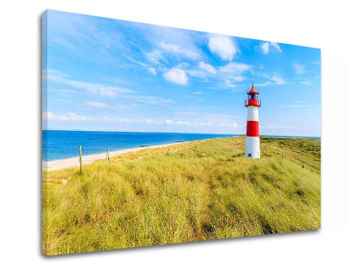 Nástěnná malba LÚKA_052-11