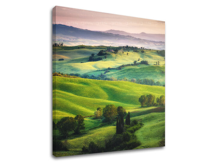 Nástěnná malba LÚKA_049-12