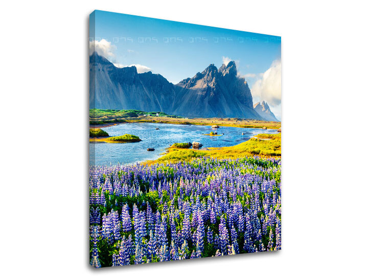 Nástěnná malba LÚKA_047-12