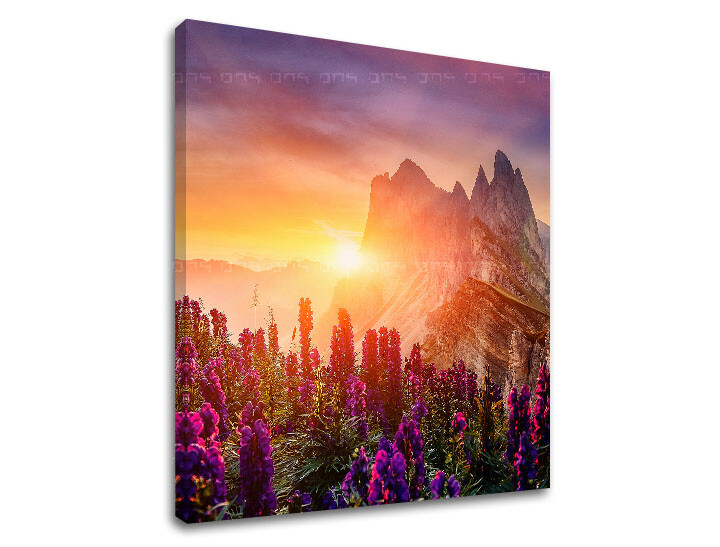 Nástěnná malba HORY_