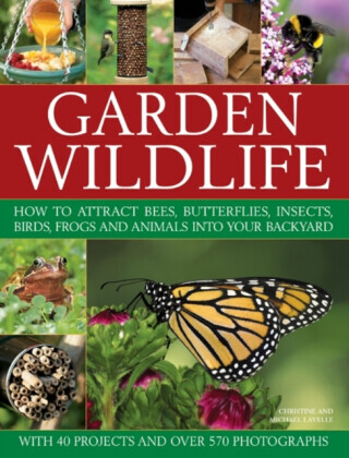 Garden Wildlife: How to Attract Bees, Butterflies, Insects, Birds, Frogs and Animals Into Your Backyard -  (Lavelle Michael)(Paperback)