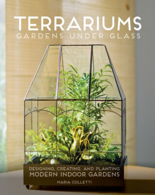 Terrariums - Gardens Under Glass - Maria Colletti