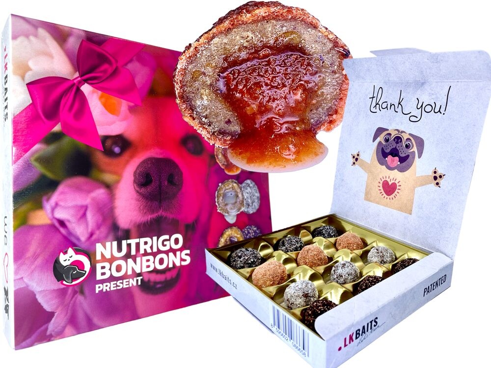 LK Baits Pet Sváteční bonboniéra Nutrigo Bonbons Present pro větší psy
