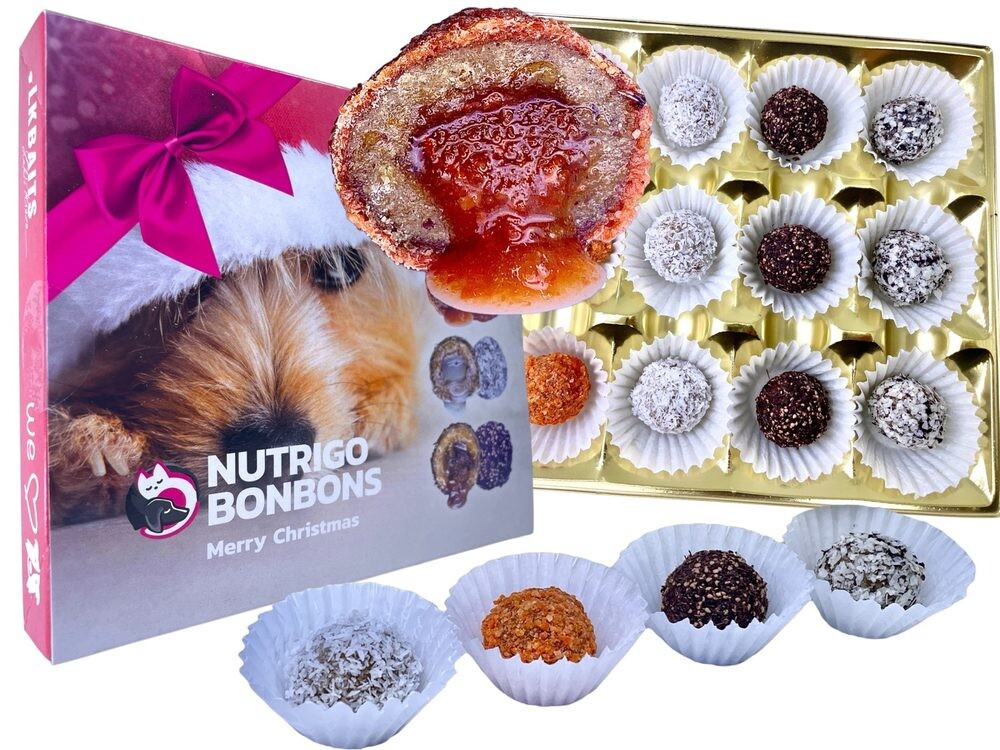LK Baits Pet Vánoční bonboniéra Nutrigo Bonbons Merry Christmas pro menší psy