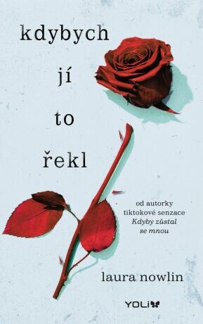 Kdybych jí to řekl - Laura Nowlin - e-kniha