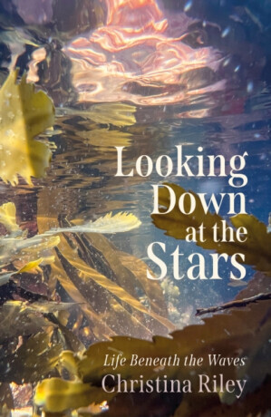 Looking Down at the Stars - Christina Riley