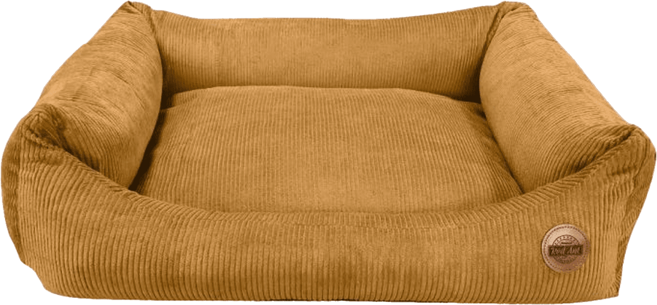 Pelech RedAnt Cord L hořčicový