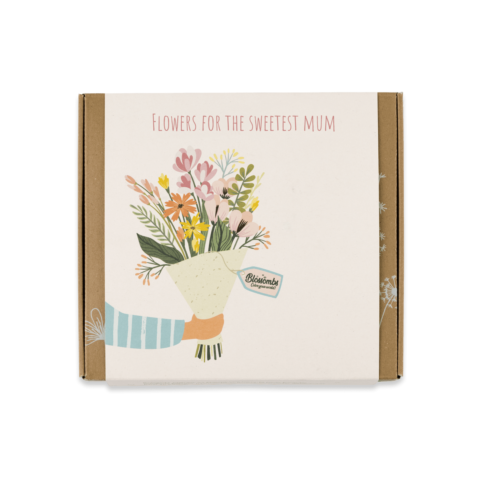 Blossombs Semínkové bomby - Dárková sada střední 