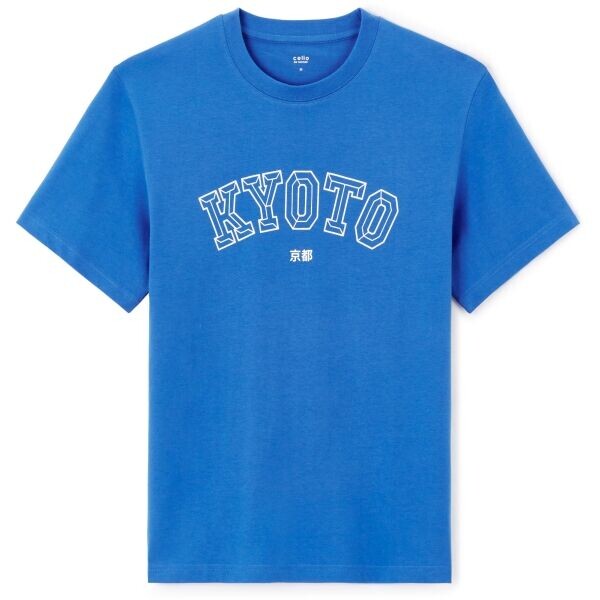 CELIO JEOVERDU Pánské tričko, modrá, velikost