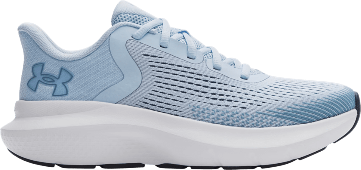 Běžecké boty Under Armour Charged Rogue 5