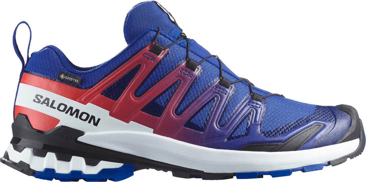 Trailové boty Salomon XA PRO 3D V9 GTX EQUIPE