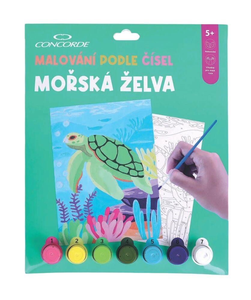Concorde Malování podle čísel - Mořská želva