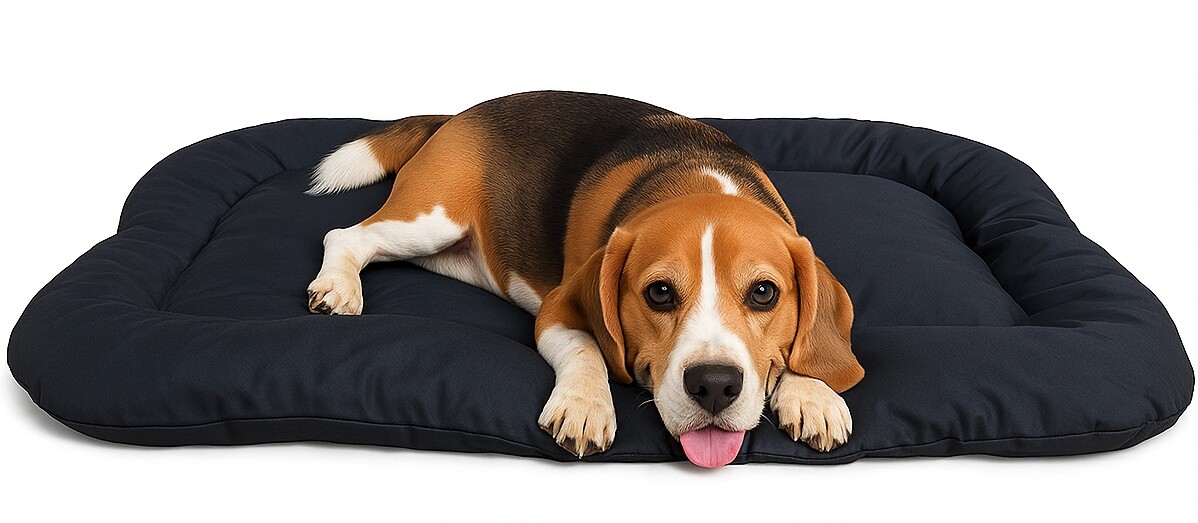 Pelíšek Lehátko Pro Psa, Matrace, Potah Povlečení 95 X 60