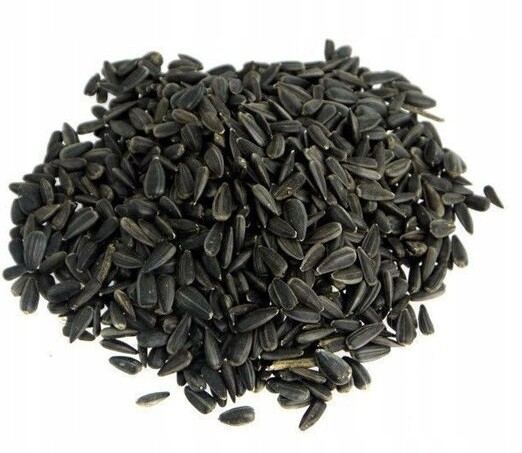 Slunečnice Černá pro ptáky Exotické zimní zrno Čisté suché 15 kg