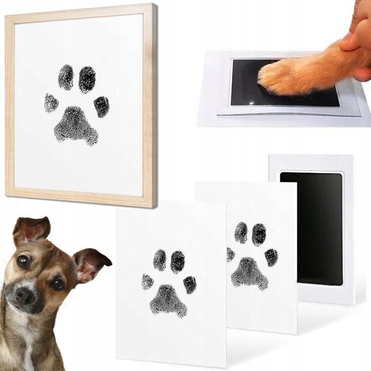 Sada Pro Otisk Tlapky Psa Kočky Otisk Barva Inkoust Otisků Rámeček