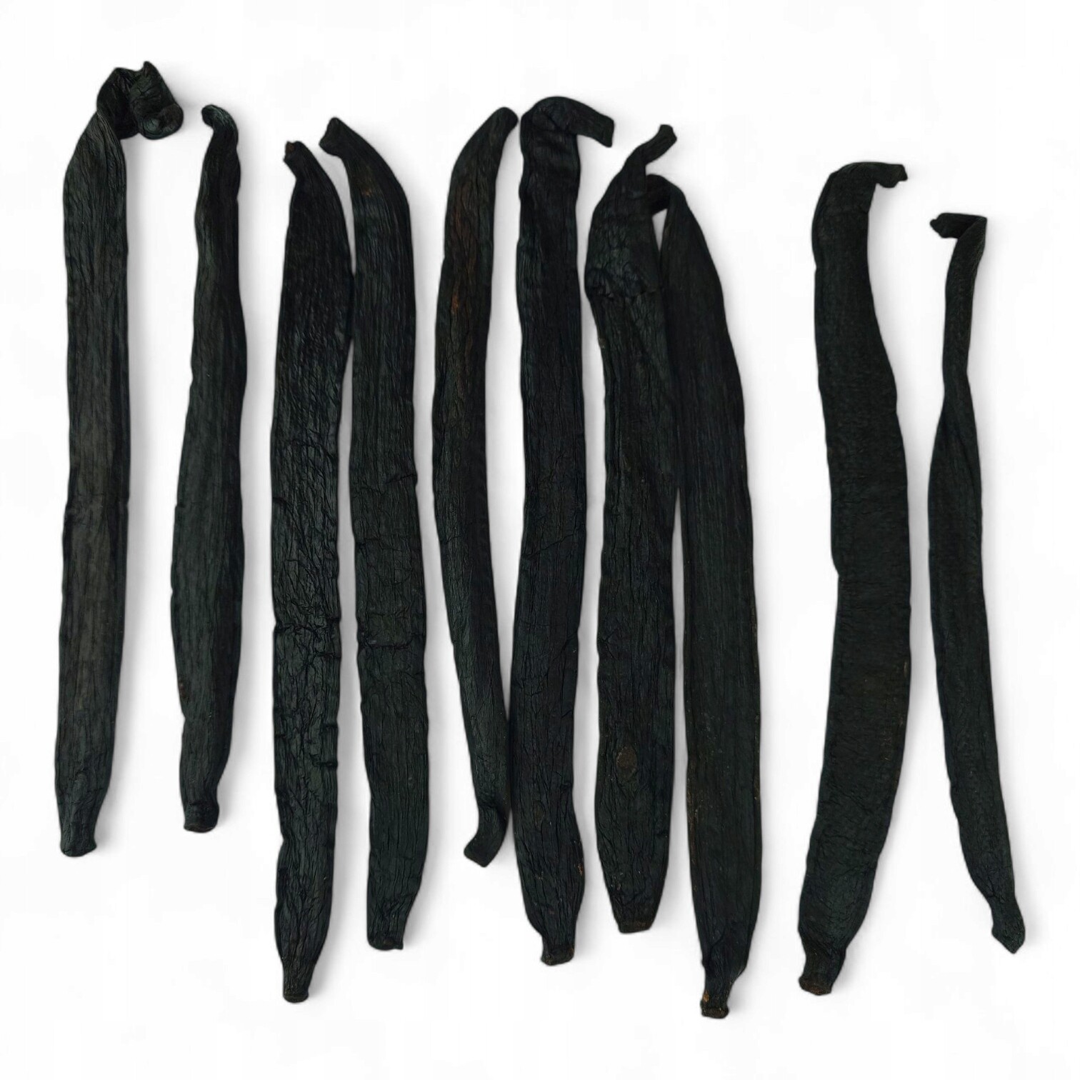 Vanilka Pompona Royal Brand 10 tyčinek 18-25 cm nejtlustší vanilková tyčinka