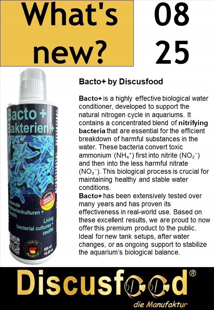 Discusfood New Bacto+ 500 ml