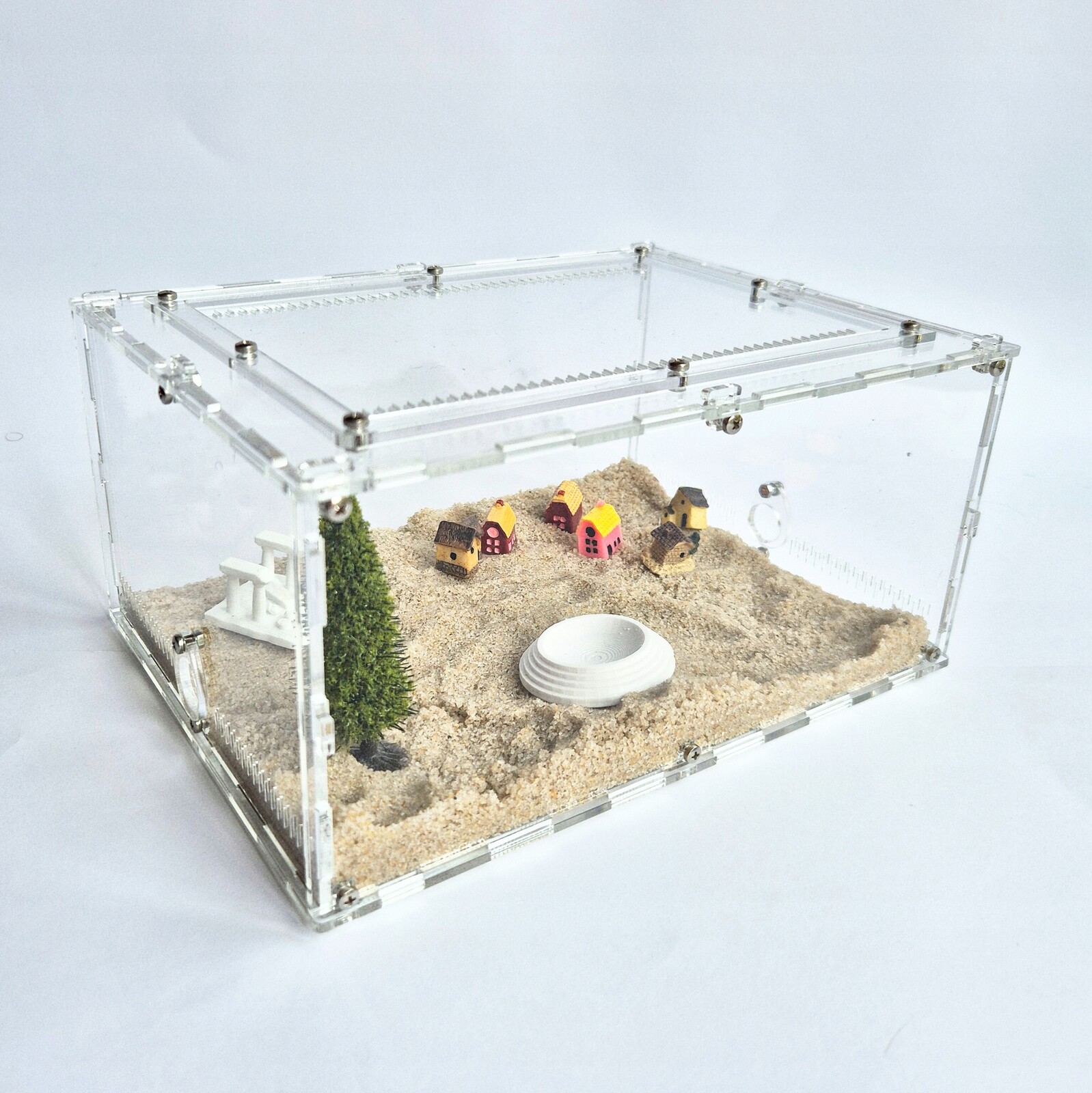 Terárium Arena L – velká akrylová aréna pro mravence, pavouky, hmyz, plazy