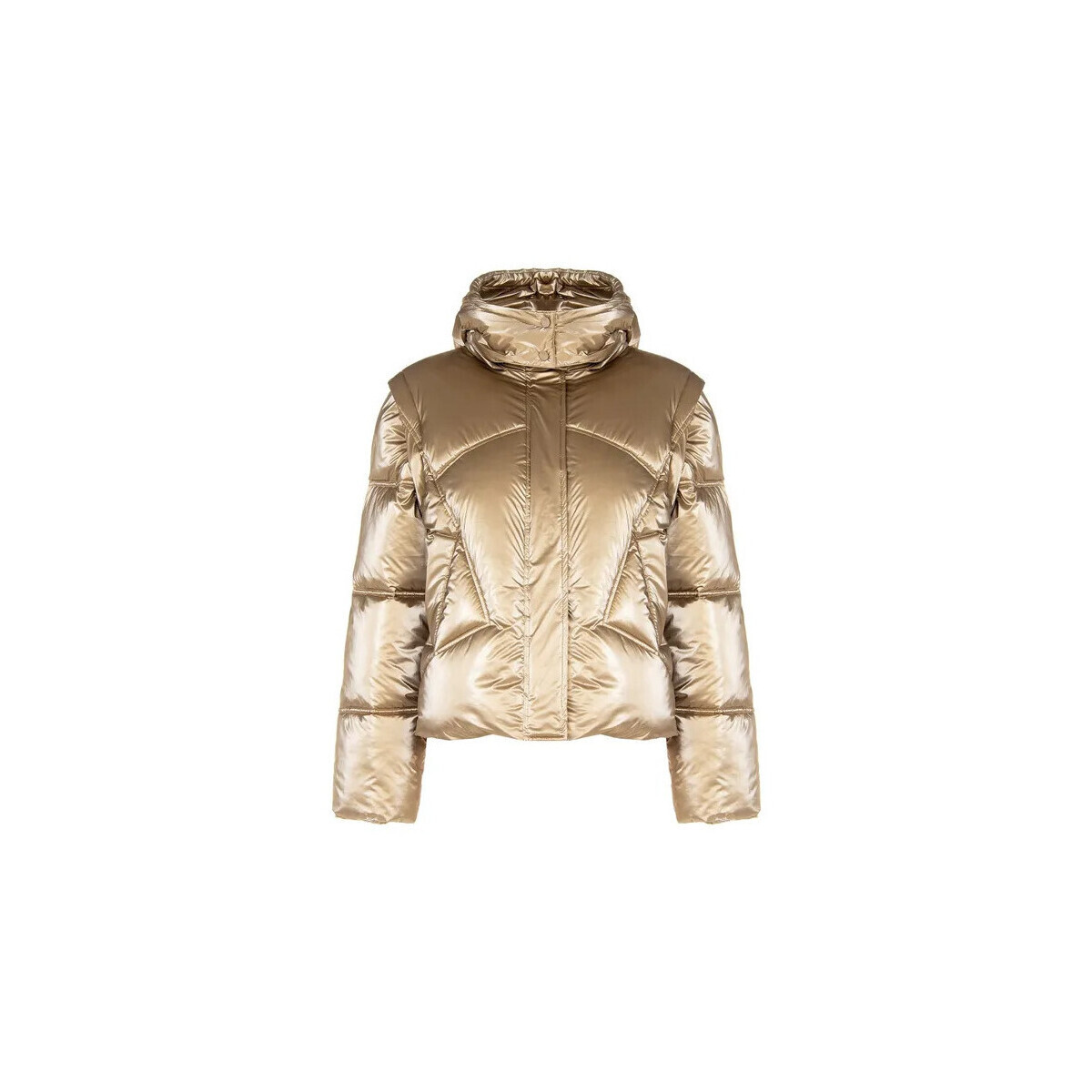 Rinascimento  CFC0122157003  Zlatá