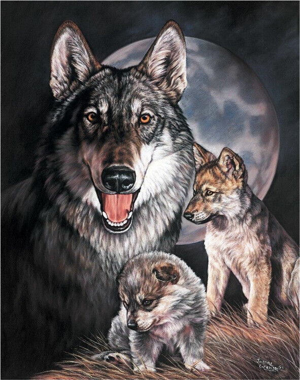 DESPERATE Plechová cedule GRAHAM - Wolf Experience, 31.5 × 40 cm