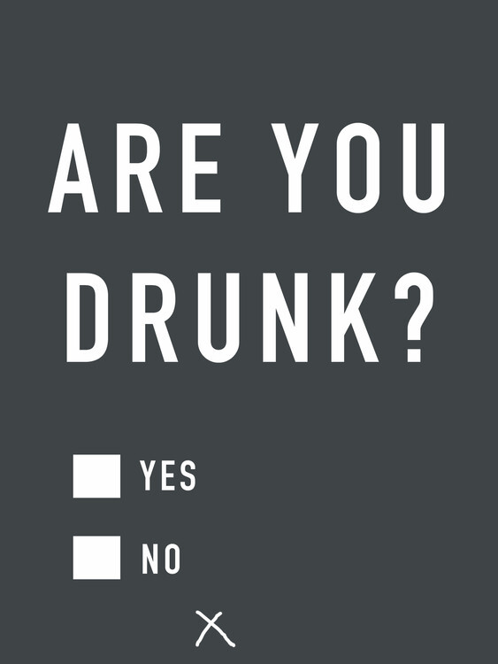 Finlay & Noa Plakát, Obraz - Are you drunk, Finlay & Noa, 30 × 40 cm