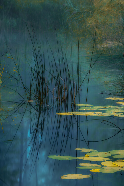 Andreas Agazzi Plakát, Obraz - Aqua, Andreas Agazzi, 26.7 × 40 cm