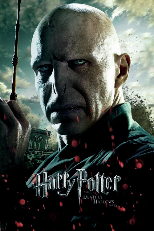 Europosters Plakát, Obraz - Voldemort, 26.7 × 40 cm