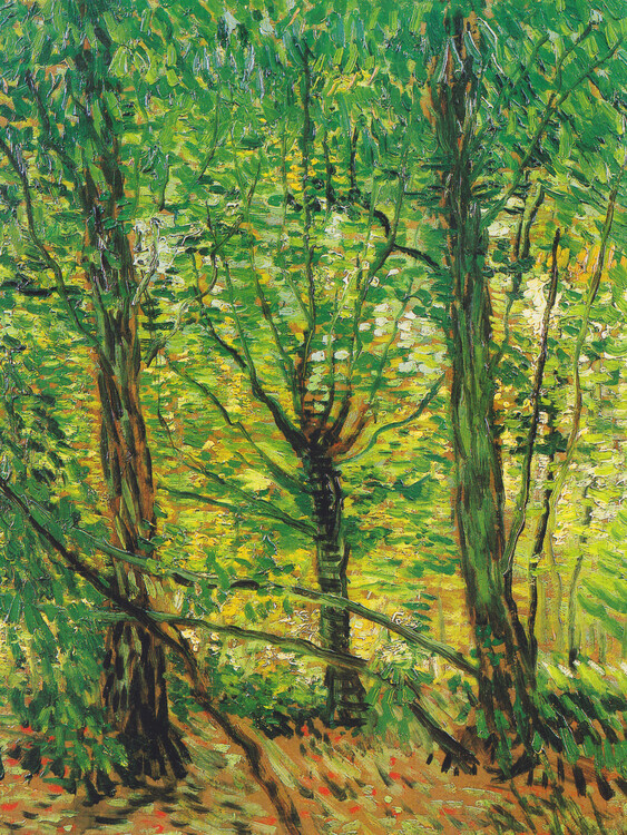 Vincent van Gogh Plakát, Obraz - Trees & Underwood, Vincent van Gogh, 30 × 40 cm