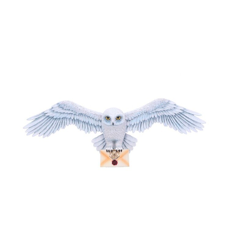 NEMESIS NOW Nástěnná plaketa Nástěnná plaketa Harry Potter - Hedwig