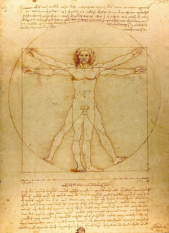 GRUPO ERIK Plakát, Obraz - Vitruviánský muž, Leonardo Da Vinci, 61 × 91.5 cm