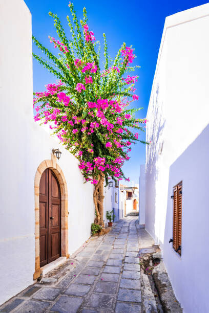 emicristea Plakát, Obraz - Rhodes, Greece. Beautiful narrow street in, emicristea, 26.7 × 40 cm