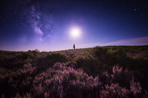 Carlos Fernandez Plakát, Obraz - Touching the Moon and the Milky Way, Carlos Fernandez, 40 × 26.7 cm