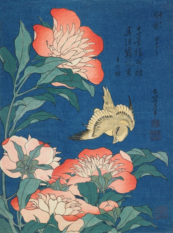 Katsushika Hokusai Plakát, Obraz - Peonies and canary (1834), Katsushika Hokusai, 30 × 40 cm