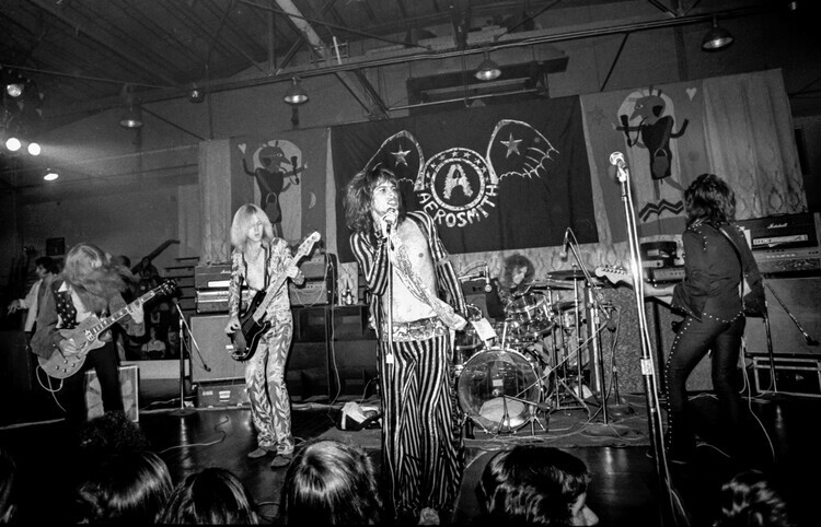 Ron Pownall Plakát, Obraz - Aerosmith Performs 1973, Ron Pownall, 40 × 26.7 cm