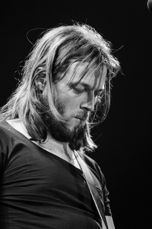 Daniel SIMON Plakát, Obraz - Les Pink Floyd en concert en 1977, Daniel SIMON, 26.7 × 40 cm