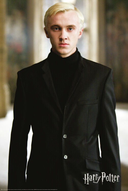 Europosters Plakát, Obraz - Harry Potter - Draco Malfoy, 61 × 91.5 cm