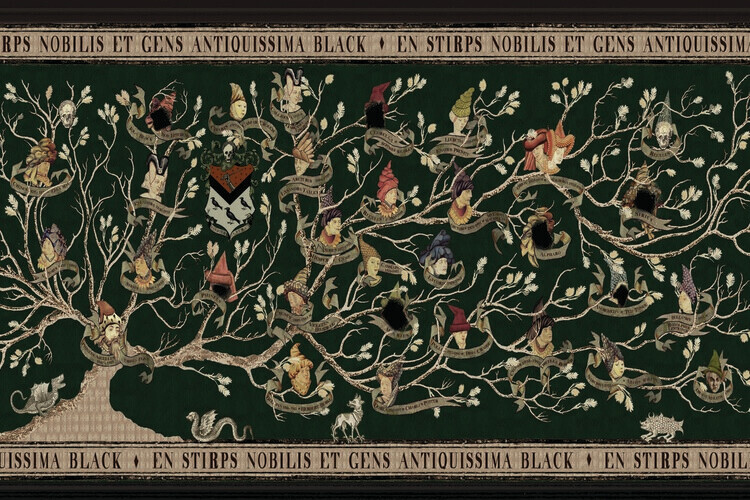 Europosters Plakát, Obraz - Harry Potter – Rodokmen Blackových / Rodokmen rodu Blacků, 40 × 26.7 cm