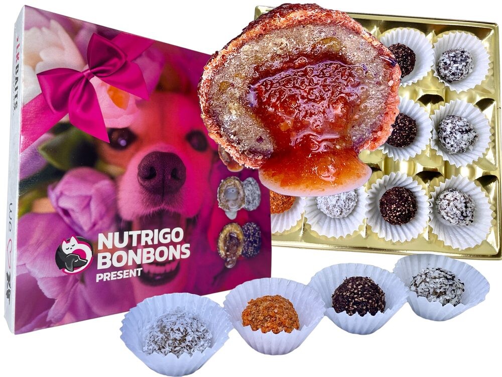 LK Baits Pet Sváteční bonboniéra Nutrigo Bonbons Present Small pro menší psy