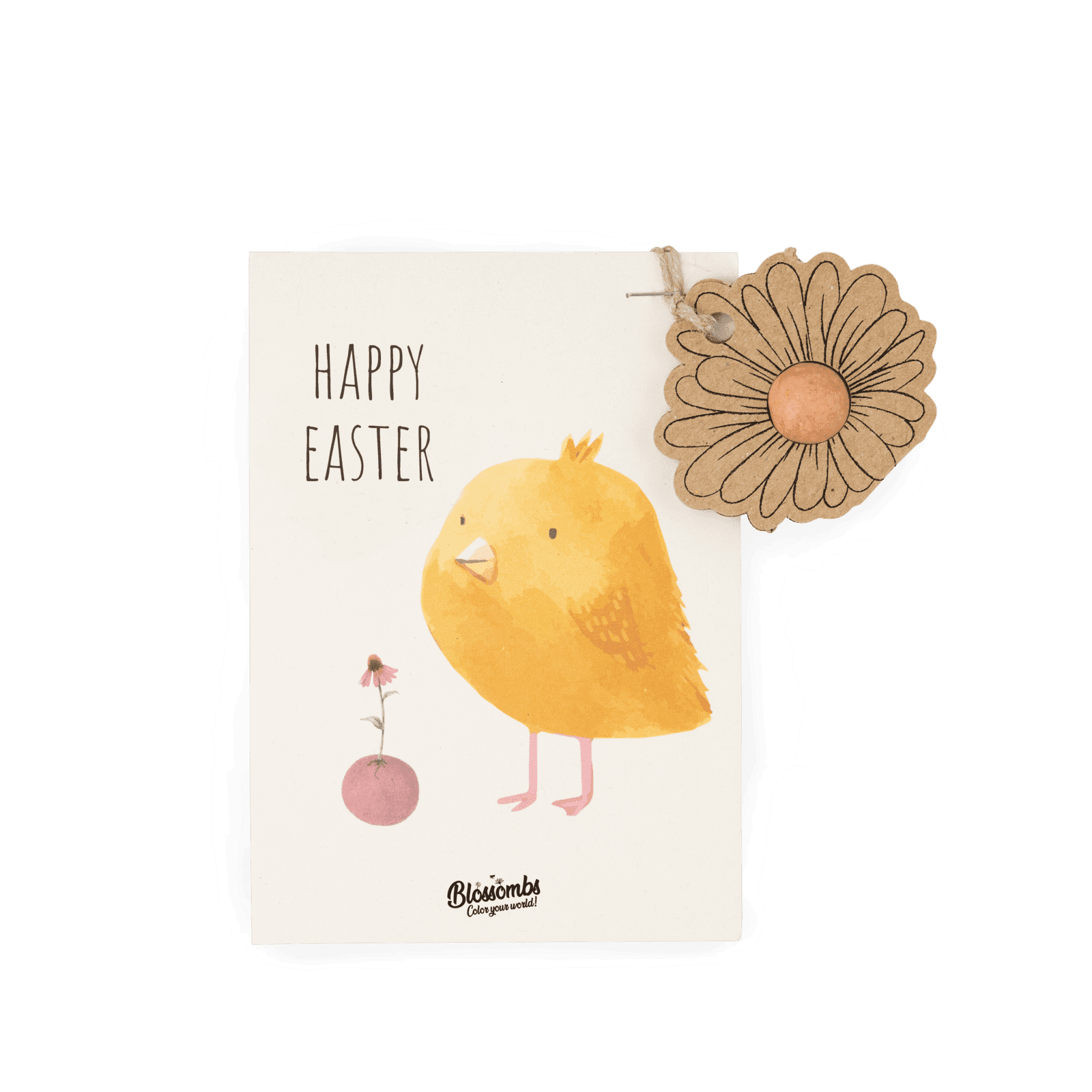 Blossombs Semínková bomba - Dárková dekorace 