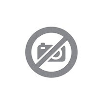 Michelangelo | HODGE, Susie