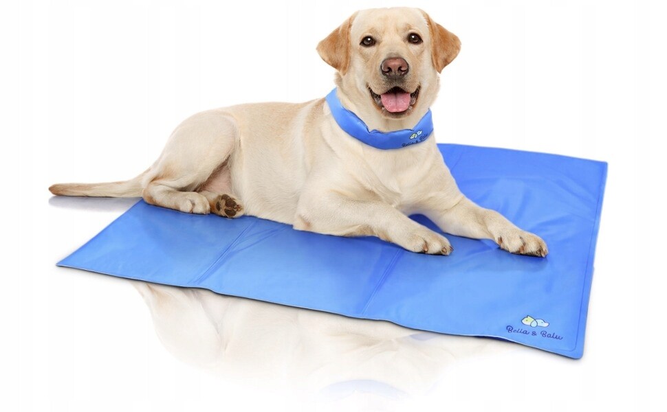 Chladící Podložka Pro Psa Velká XXL 130x70CM Gelová Pelíšek Premium Silná