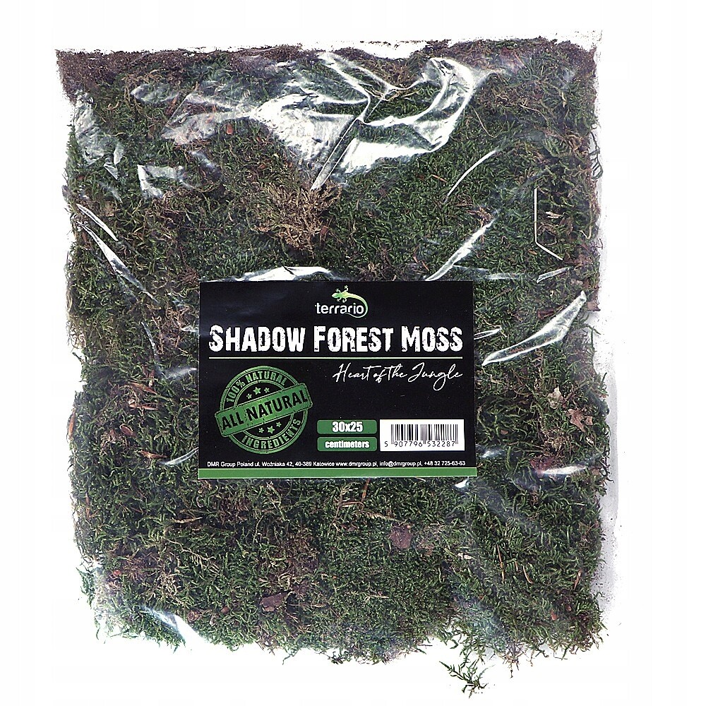 Přírodní mech Terrario Shadow Moss 35x28 cm