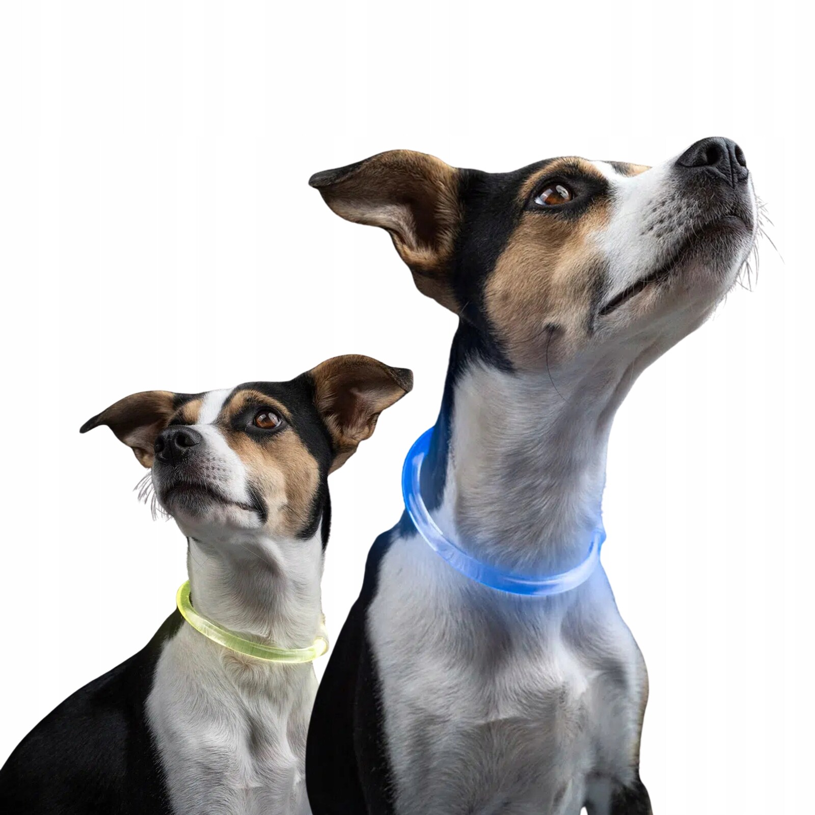 Univerzální svítící obojek Lumina Xpro, vícebarevný