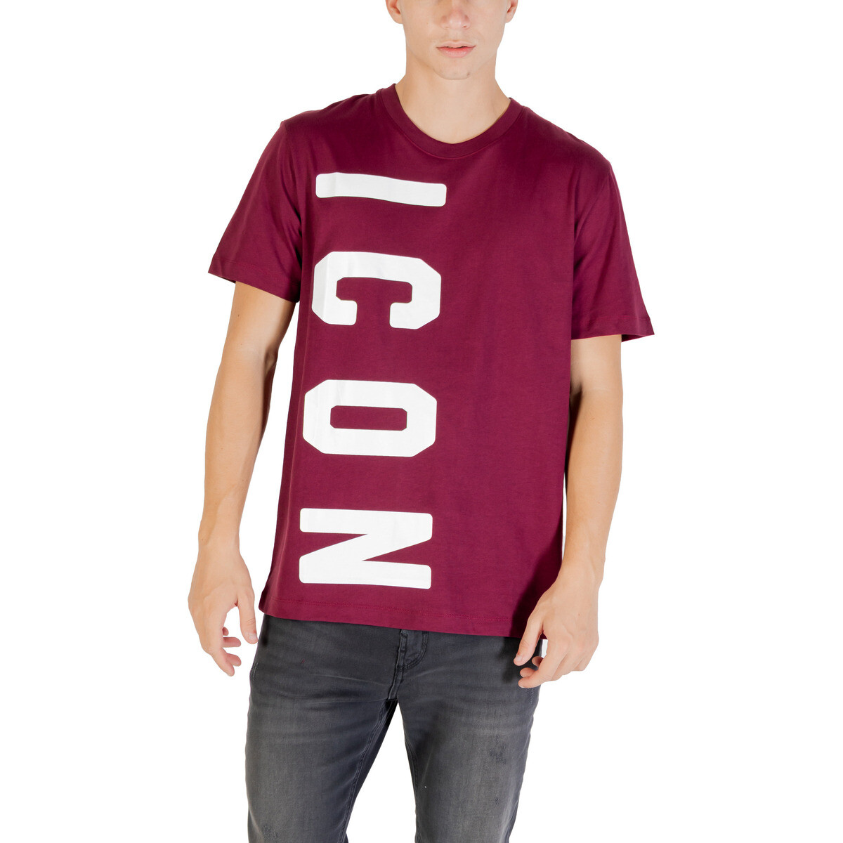 Icon  ICUF2W6T004  Červená