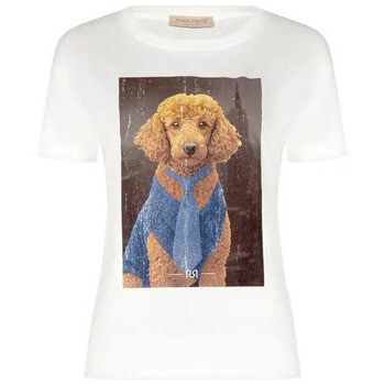 Rinascimento  CFC0127382003  Bílá