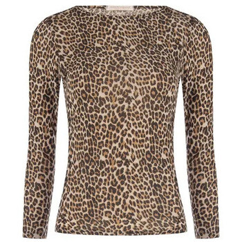 Rinascimento  CFC0127388003  ruznobarevne